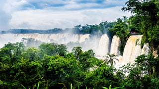 Brasilianischer Tee