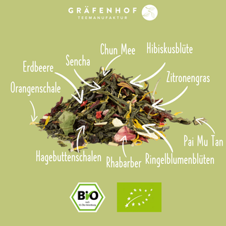 Bio Rabarber aardbei
