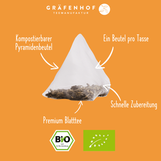 Vitaliteitsthee Balanced, 15 piramidezakjes
