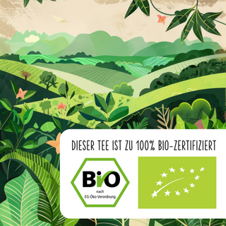 Bio IJsthee met citroen (cold brew)