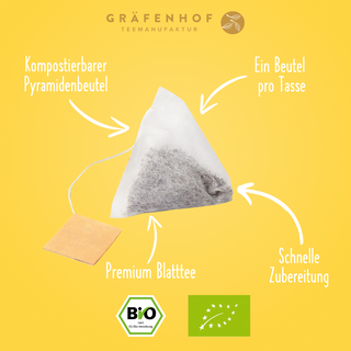 Bio IJsthee met citroen (cold brew)