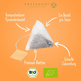 Bio IJsthee perzik (koud brouwsel)