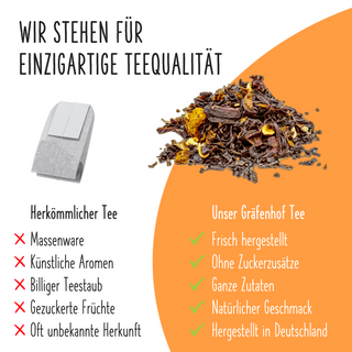 Bio IJsthee perzik (koud brouwsel)