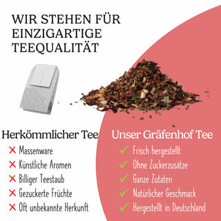 Bio IJsthee frambozen-munt (cold brew)
