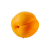 Abrikoos