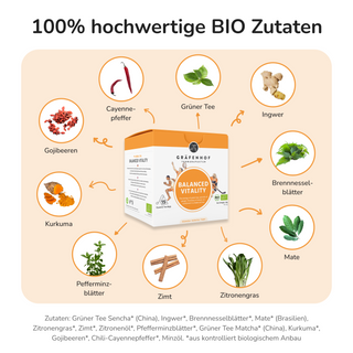 Vitaliteitsthee Balanced, 15 piramidezakjes