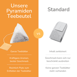 Vitaliteitsthee Balanced, 15 piramidezakjes