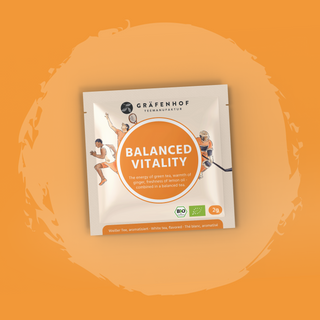 Vitaliteitsthee Balanced, 15 piramidezakjes