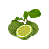 Bergamot