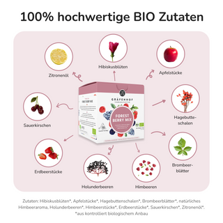 Bosbessenmix, 15 piramidezakjes