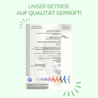 Gember Citroen Thee, 15 piramidezakjes