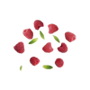 Framboos