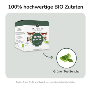 Japan Sencha, 15 piramidezakjes