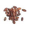 Cacao