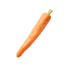 Wortel
