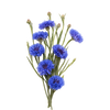 Korenbloembloesem
