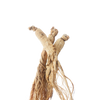 Macawortel