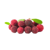 Schinusbes