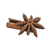 Steranijs