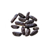 Tonkaboon