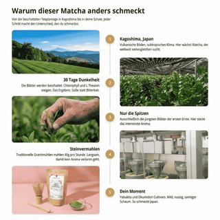 Bio Matcha kennismakingsset