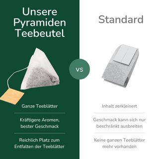 Wintermagie, 15 piramidezakjes