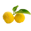 Yuzu-vrucht